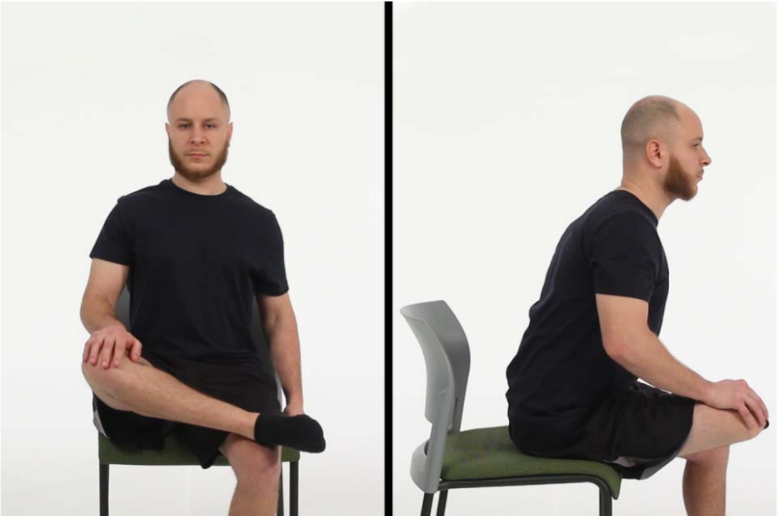 Lower back stretches online for sitting all day